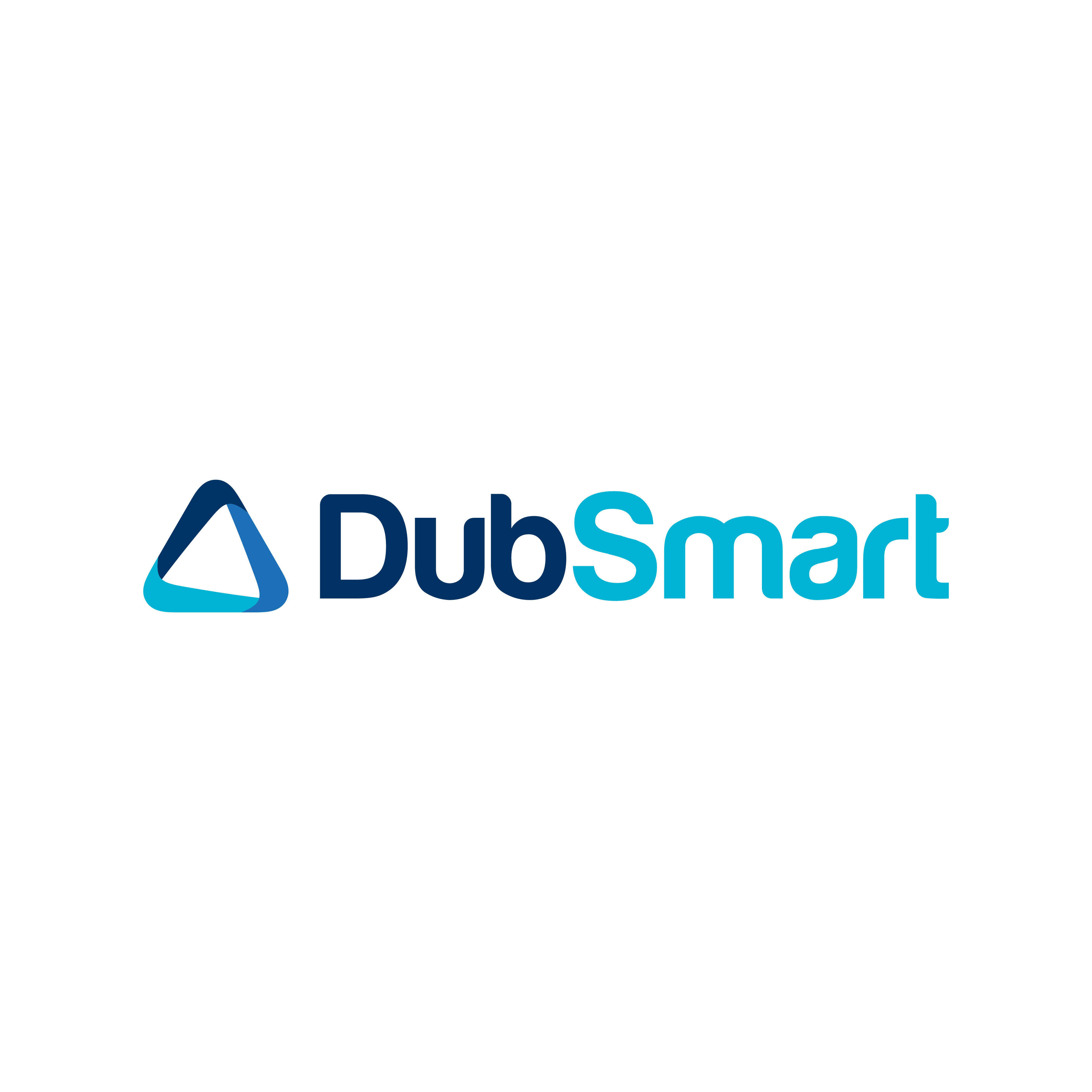 Dubsmart LLC icon